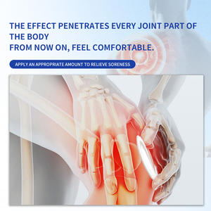 Pommade Naturelle à Base de Plantes pour la Réparation des Nerfs du Ménisque et le Soulagement de la Douleur Emplâtre Chinois pour les Douleurs Articulaires Musculaires et l'Arthrite - Product Image 4