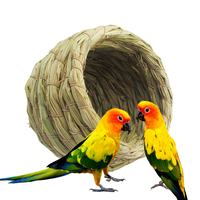 Vente en gros pure paille tressée gourde nid d'oiseau herbe nid d'oiseau type perroquet Myna petit oiseau hptel