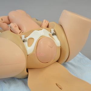 Simulator obstetri dan melahirkan, Model janin sembilan bulan kustom dengan kehamilan dalam panggul, Model melahirkan - Product Image 3