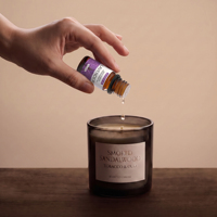 Huile essentielle de lavande douce, aromathérapie naturelle pure, échantillon gratuit en gros