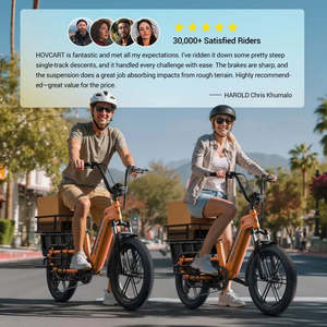 Vélo <span class=keywords><strong>cargo</strong></span> électrique familial à pneus larges, moteur 48 V 750 W dans le moyeu arrière, avec porte-bagages arrière et siège - Product Image 6