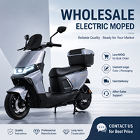 Trottinette Électrique SG-BY 1000W 60V 20AH pour Adultes, Vélo Électrique de Banlieue 50KM/H avec LED, Vente en Gros Direct Usine OEM