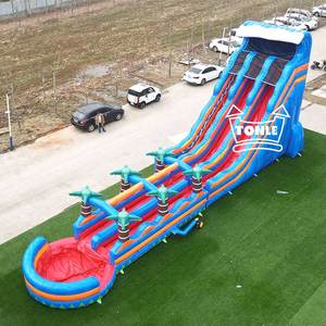 27ft cao đôi làn đường trượt nước Inflatable nhiệt đới trượt nước để bán - Product Image 3