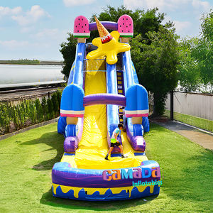 Toboggans aquatiques gonflables en marbre pour usage commercial avec piscine et zone de glisse, idéaux pour les fêtes et les entreprises - Product Image 2