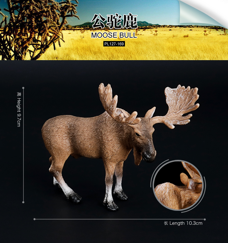 169 Toro degli alci