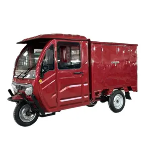 Nuovo triciclo elettrico nuovo modello 3 ruote di carico elettrico triciclo di Design popolare elettrico chiuso camion da carico triciclo DHL