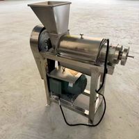 Presse-agrumes à froid haute productivité pour usine de transformation de fruits à grande échelle, idéal pour jus d'ananas, de pomme et de légumes