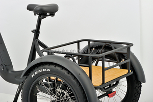 Vélo <span class=keywords><strong>cargo</strong></span> électrique à 3 roues avec batterie au lithium de 48V, capacité de 15Ah, cadre en aluminium, système de freinage à disque, <span class=keywords><strong>moteur</strong></span> de moyeu arrière - Product Image 3