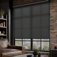 Échantillon de stores à enroulement en tissu uni à commande manuelle par chaîne, filtrant la lumière, pour chambre et appartement
