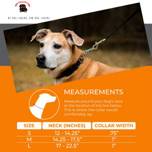 <span class=keywords><strong>Collar</strong></span> de perro <span class=keywords><strong>collar</strong></span> limitada cinch cadena del equipo para no sacar Correa caminando - Product Image 4