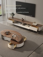 Table basse de luxe de style Foshan, minimaliste et moderne, en bois massif et dalle de pierre, de forme irrégulière, avec espace de rangement, adaptée pour
