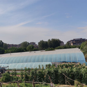 Invernadero agrícola de tamaño pequeño Protección UV Película plástica de PE de 200 micras Estructura de acero estable Fabricación de una sola capa - Product Image 5