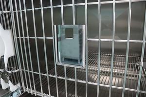 <span class=keywords><strong>Jaula</strong></span> transportadora doble de acero inoxidable clásica para interiores/exteriores para gatos y perros y uso veterinario - Product Image 6