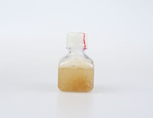 Filtre à cartouche stérilisant Dmem avec sérum bovin fœtal, sérum bovin nouveau-né, culture cellulaire, 0,22 µm, pour la production de vaccins - Product Image 5