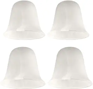 Custom Frost Glass Flower Lamp Shades For Table Ceiling Wall Hanging BO-glass Lamp Shade