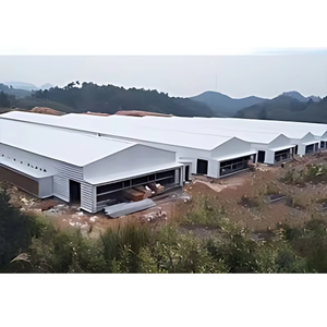 Poulailler préfabriqué en structure acier pour <span class=keywords><strong>poules</strong></span> <span class=keywords><strong>pondeuses</strong></span>, <span class=keywords><strong>abri</strong></span> avicole à côtés ouverts avec dimensions et couleurs personnalisables - Product Image 5