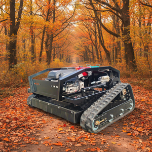 Trouvez des modèles similaires : Tondeuse à gazon à moteur <span class=keywords><strong>essence</strong></span>, best-seller <span class=keywords><strong>de</strong></span> l'usine chinoise, idéale pour les pentes et les pelouses. - Product Image 1