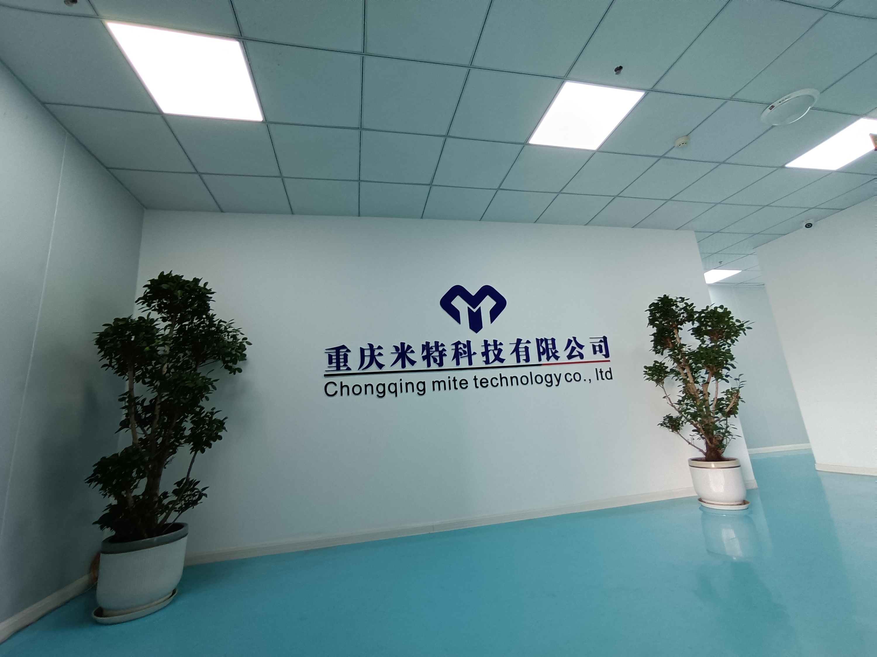 Chongqing Mega Optic Ltd.