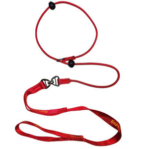 Rareve Dog Slip fune di piombo con Logo personalizzato anello di <span class=keywords><strong>Cardo</strong></span> doppio manico senza guinzagli di addestramento per cani di piccola taglia media - Product Image 2