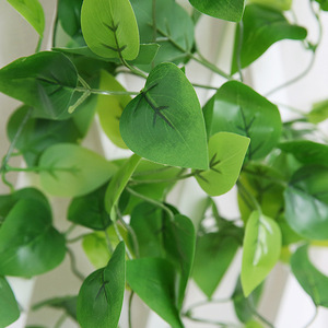 Guirlande suspendue en <span class=keywords><strong>lierre</strong></span>, feuillage, fleurs, plantes artificielles en <span class=keywords><strong>lierre</strong></span> pour la maison, le jardin, le bureau, la décoration murale de mariage, <span class=keywords><strong>lierre</strong></span> vert artificiel - Product Image 5
