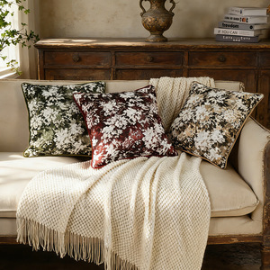 Fodere per cuscini in velluto e federe decorative moderne stampate per divano, con MOQ basso - Product Image 1