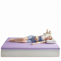 Moderne Kühlgel-Memory-Foam-Matratze in Queen-Size mit Weichpolsterung und 50mm Gestricktem Baumwollbezug für Apartment-Schlafzimmer