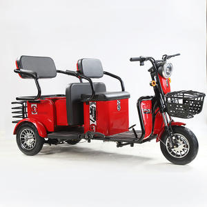 Scooter électrique à 3 roues fabriqué en Chine, tricycle électrique pour adultes, double batterie, vélo pour personnes handicapées, tricycle électrique pour les déplacements en ville - Product Image 5