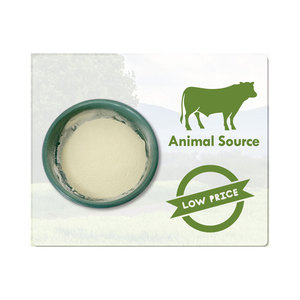 Compra a granel al por mayor, precio bajo, compuesto enzimático orgánico, polvo de aminoácidos, fertilizante complejo en agricultura para plantas - Product Image 1