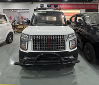 Nouveau véhicule électrique mini 2 places à basse vitesse, camionnette électrique à vendre