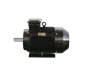 มอเตอร์เหนี่ยวนำไฟฟ้ากระแสสลับแบบอะซิงโครนัสสามเฟส มาตรฐาน IEC 220V/380V 50/60HZ สำหรับเครื่องปรับอากาศและปั๊ม - Product Image 5