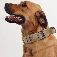 Collier tactique robuste en nylon TANXIANZHE anti-traction avec poignée de contrôle rembourrée et boucle métallique pour chiens de taille moyenne à grande, idéal pour l'extérieur