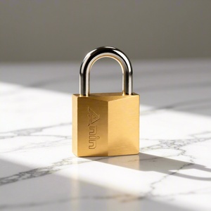 Candado de Seguridad Tipo D de Acero y Latón de Alta Calidad Anin con Doble Bloqueo de Palanca, Antirrobo, Duradero, Redondo, Multitamaño - Product Image 6