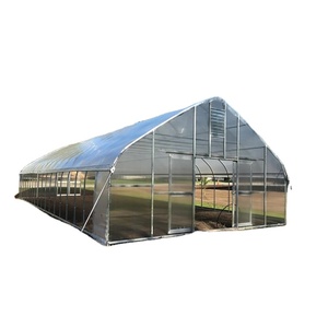Invernadero Túnel Agrícola de Fácil Instalación para Viveros, en Venta, Proveedor Chino, Precio Económico - Product Image 4