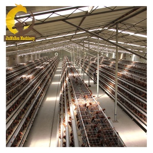 Jinmuren-jaula automática para pollos, gran oferta, tipo A, con batería - Product Image 6