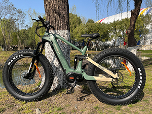 Roadsan Vélo Électrique Léger de Haute Qualité avec Batterie Centrale 48V 15AH, Autonomie 60km, Cadre Aluminium 750W, Modèle Alps M9, Roadsan OD - Product Image 5