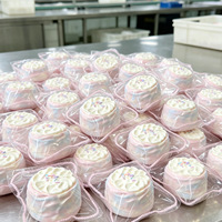 Jouet anti-stress en silicone alimentaire en forme de gâteau, à remontée lente, jouet sensoriel Kawaii à presser, cadeau pour adultes et adolescents de 14 ans et plus