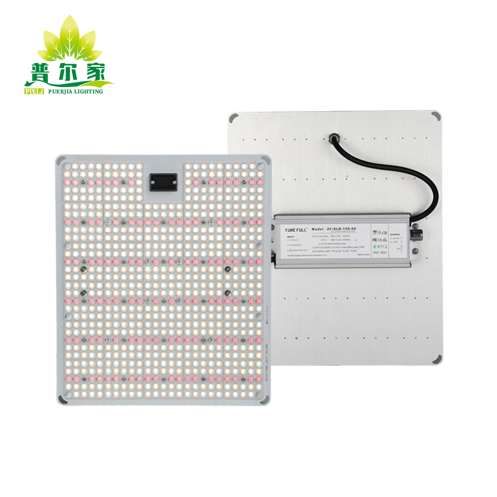 Quantum Boards - Efficient LED Grow Light Solutions