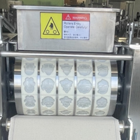 Mini déposant automatique de biscuits aux pépites de chocolat, petit découpeur de presse, ligne de production de biscuits, machine maison