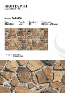 Azulejos de Porcelana para Paredes Exteriores de 300x600 mm, Diseño Exterior - Product Image 2