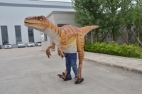 Costume de dinosaure animatronique personnalisé, modèles animatroniques, costumes de dinosaures, costume de Velociraptor