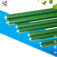 Piquet de support pour plantes grimpantes, treillis de formation pour vigne, structure de jardin, accessoire d'horticulture durable et commercial