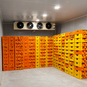 <span class=keywords><strong>Chambre</strong></span> froide de haute qualité, grande capacité, <span class=keywords><strong>chambre</strong></span> froide à marche lente, <span class=keywords><strong>chambre</strong></span> froide de stockage - Product Image 1