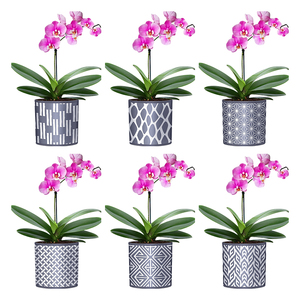 Planta Artificial YICAI, Bonsái de Imitación con Patrón de Cemento, con Maceta de Plástico, <span class=keywords><strong>Macetas</strong></span> de Planta Artificial - Product Image 3
