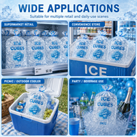 Sacs d'emballage pour glace en plastique transparent de qualité alimentaire, avec logo personnalisé, résistants aux fuites, en LDPE, pour glaçons