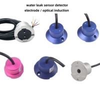Détecteur de fuite d'eau souterraine étanche IP68 avec câble de 2 m, relais et capteurs environnementaux pour la détection des fuites d'eau