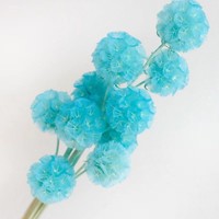 Roze geconserveerde Pristimera windmolenbladeren gedroogd fruit Scabiosa bloemknoppen - 5 stelen voor Kerstmis, afstuderen, Valentijnsdag, Pasen