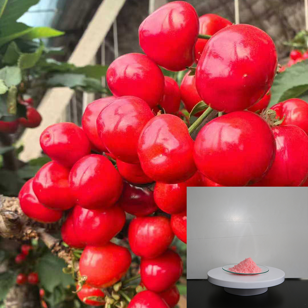 20-20-20 TE Water Soluble NPK Fertilizer Powder Manufacturer image 3
