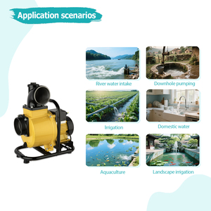 Pompa ad <span class=keywords><strong>acqua</strong></span> 50 m3/h grande flusso 4 pollici 750w Dc pompa solare centrifuga pompa dell'<span class=keywords><strong>acqua</strong></span> <span class=keywords><strong>per</strong></span> <span class=keywords><strong>l</strong></span>'agricoltura - Product Image 5