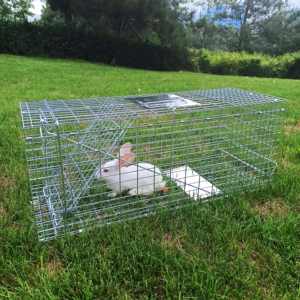 Pieghevole in metallo con gabbia di animali vivi trappola umana Catch gatto trappola gabbia per coniglio cane volpe - Product Image 1