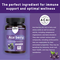 AegleWell OEM/ODM Usine de Marque Privée – Capsules d'Extrait de Baies d'Açaï 100% Biologiques et Naturelles – Complément Alimentaire pour Adultes